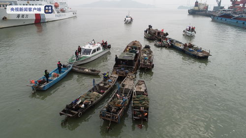 珠江禁渔期结束，执法成效显著 广东查处违反禁渔制度案件218宗，渔具销售监管同步加强