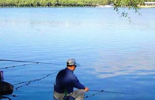 常见渔具的种类与使用技巧（上篇）——新手入门指南